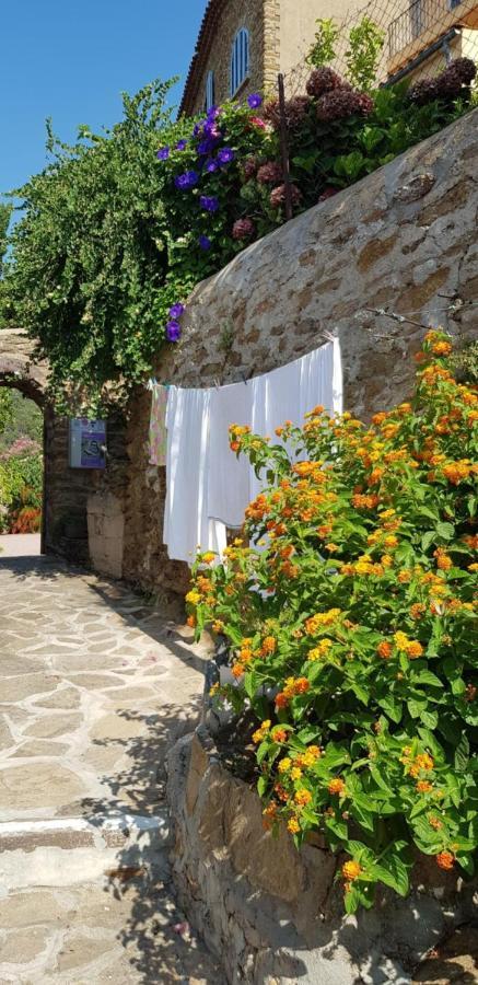 L'Odyssee Provencale, Un Duplex De Charme De 2 Chambres Au Pied Du Village Medieval De Bormes-Les-Mimosas, Offrant Des Prestations Haut De Gamme Et Une Superbe Vue Sur Le Massif Des Maures Eksteriør bilde